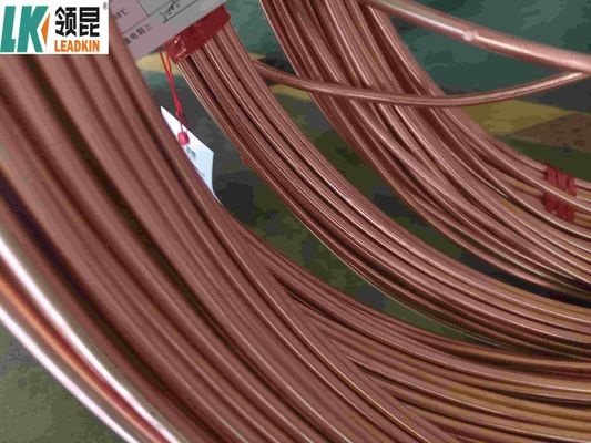 6.0 mm Dia Mineraal Geïsoleerde Koperkabel voor Industrieel Gebruik