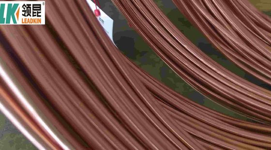 LEADKIN Mineraal geïsoleerde koperkabel voor RBS-type thermocouple